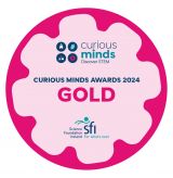 SFI Curious Minds Award
